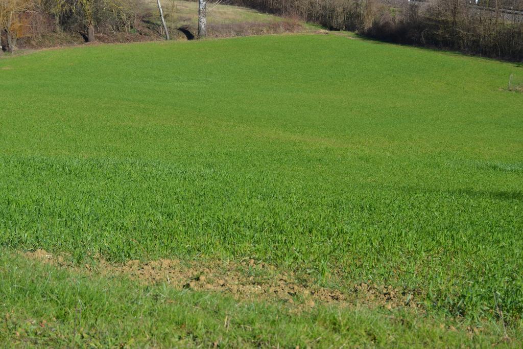 Agriturismo La Querce Rignano sullʼArno Rom bilde