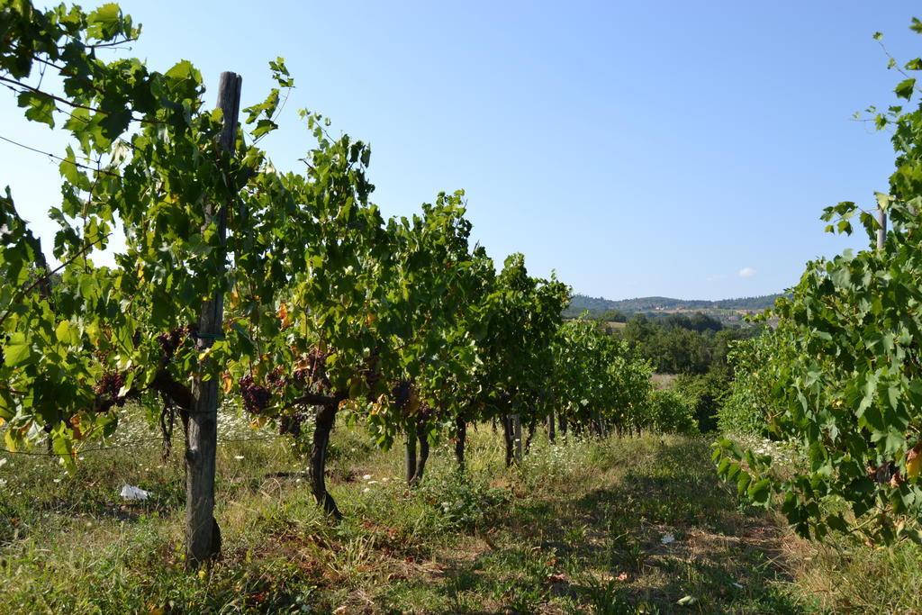 Agriturismo La Querce Rignano sullʼArno Eksteriør bilde
