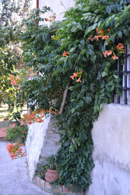 Agriturismo La Querce Rignano sullʼArno Eksteriør bilde
