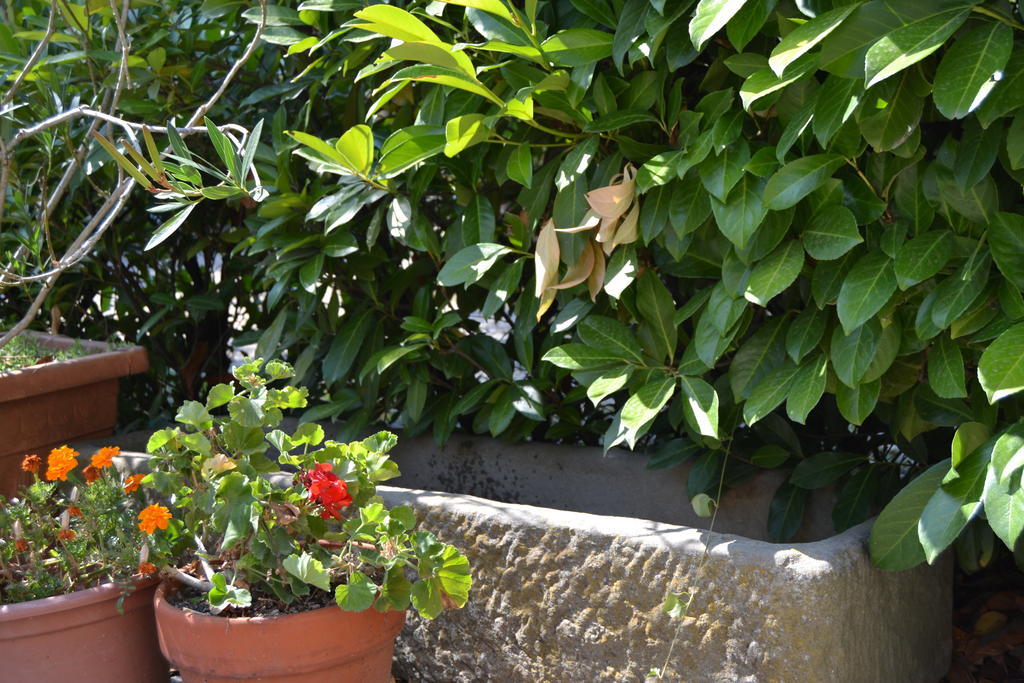 Agriturismo La Querce Rignano sullʼArno Eksteriør bilde