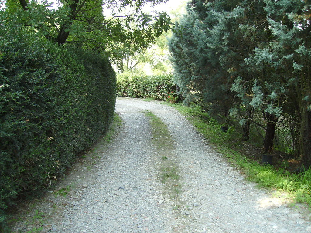 Agriturismo La Querce Rignano sullʼArno Eksteriør bilde