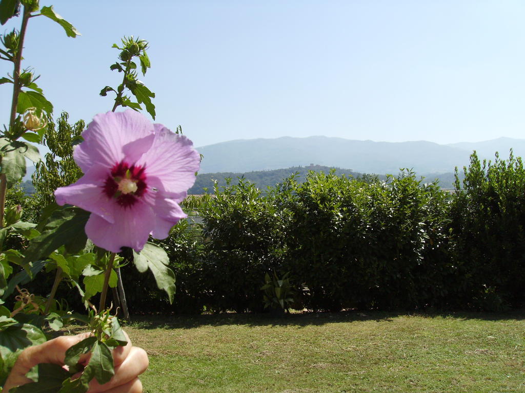 Agriturismo La Querce Rignano sullʼArno Eksteriør bilde